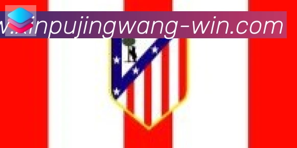 新葡京娱乐网合作伙伴